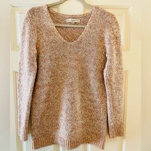 LOFT Women's Multicolor V-Neck Sweater
